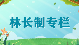林长制专栏
